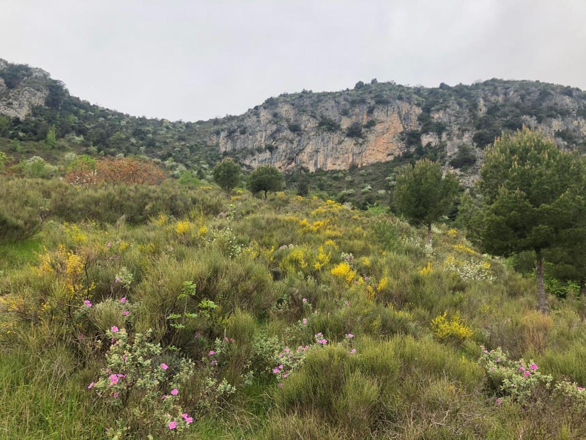 "Aux Balcons Du Riou" Avec Vue Mer 180 Degres Vence Dış mekan fotoğraf