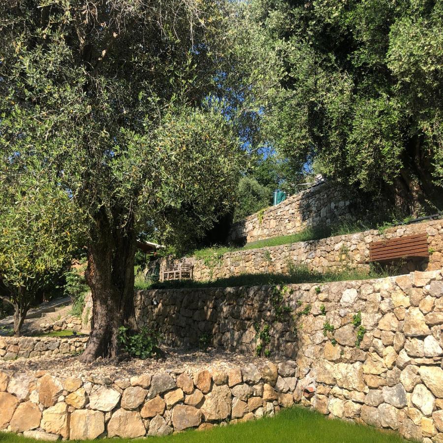 "Aux Balcons Du Riou" Avec Vue Mer 180 Degres Vence Dış mekan fotoğraf