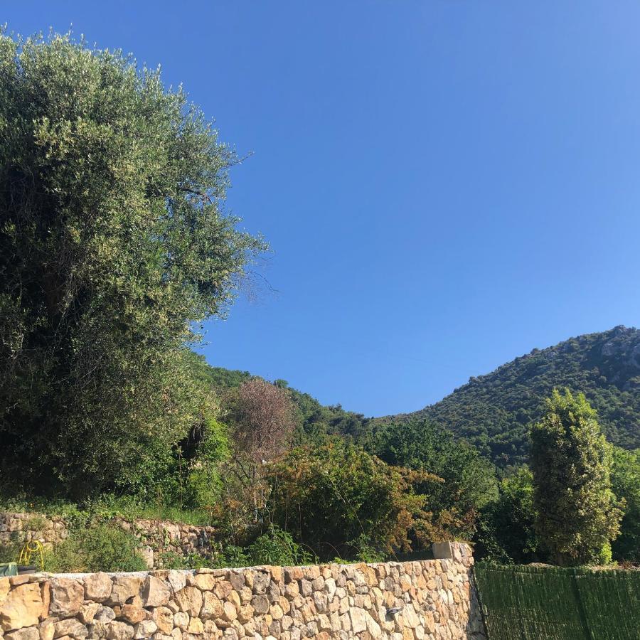 "Aux Balcons Du Riou" Avec Vue Mer 180 Degres Vence Dış mekan fotoğraf